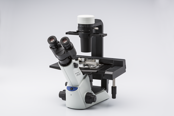 Inverted Microscopes – Microscopy